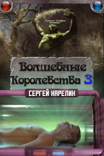 Обложка книги «Волшебные Королевства 3»