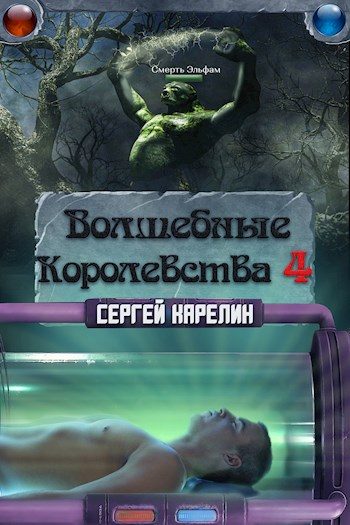 Обложка книги «Волшебные Королевства 4»