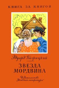 Обложка книги «Звезда мордвина»