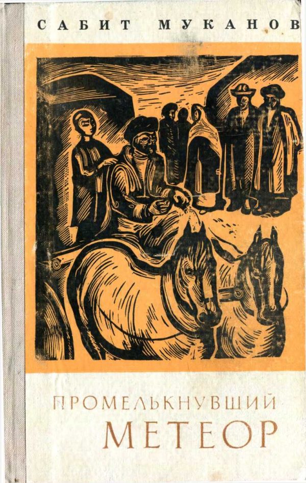 Обложка книги «Промелькнувший метеор. Книга 1»