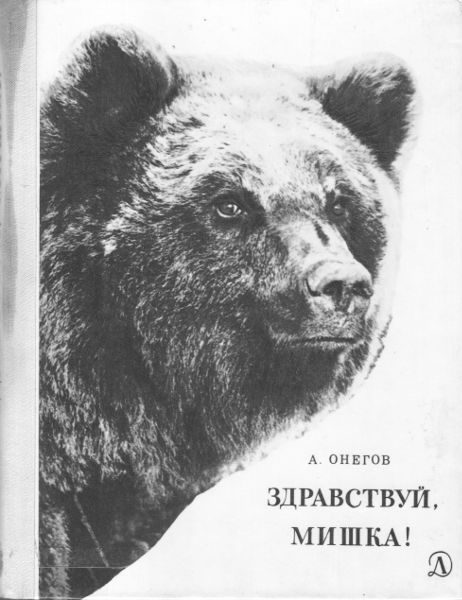 Обложка книги «Здравствуй, мишка!»