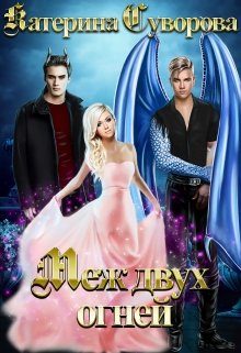 Обложка книги «Меж двух огней»