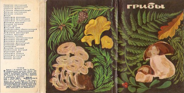 Обложка книги «Грибы. Выпуск 1»