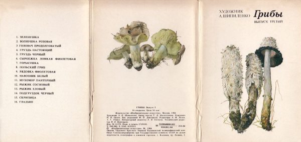 Обложка книги «Грибы. Выпуск 3»