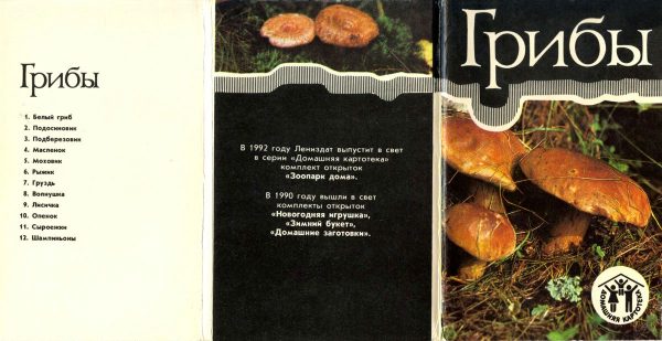 Обложка книги «Грибы. Ершов. Набор открыток»