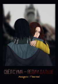 Обложка книги «Свёл с ума — веди и дальше»