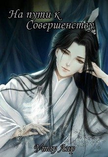 Обложка книги «На пути к Совершенству»