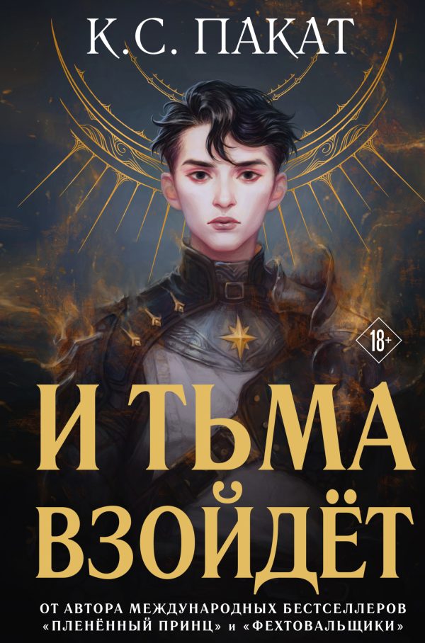Обложка книги «И тьма взойдёт»