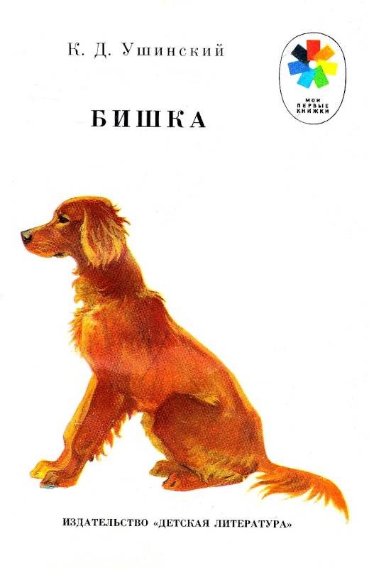 Обложка книги «Бишка»