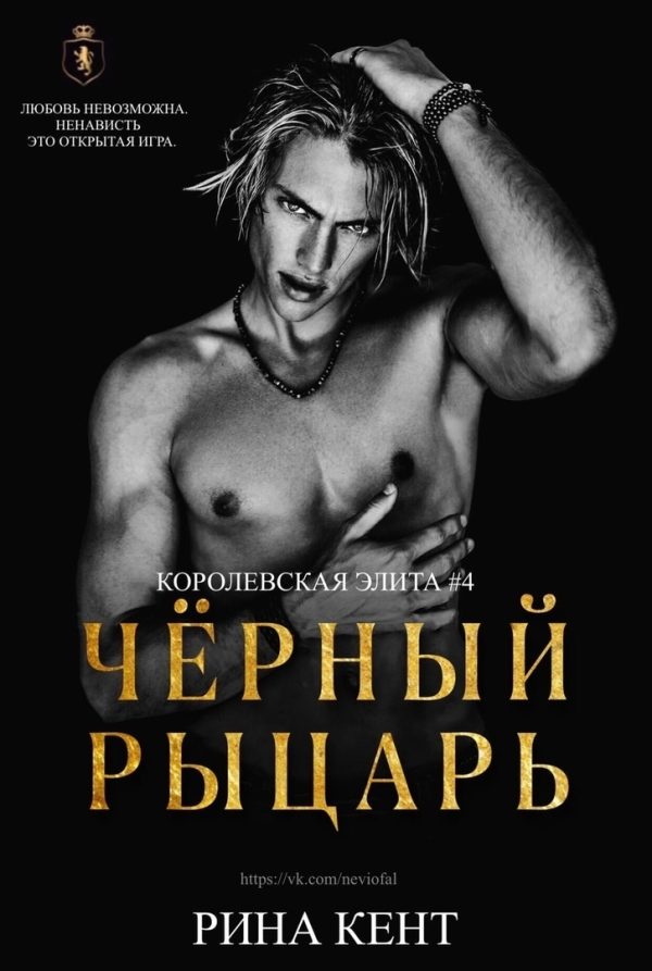 Обложка книги «Чёрный рыцарь»