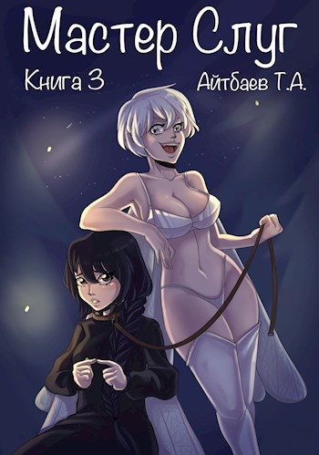 Обложка книги «Мастер Слуг. Книга 3»