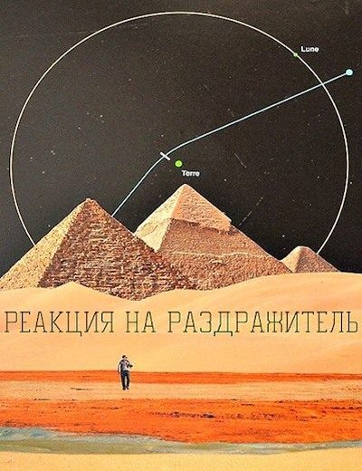 Обложка книги «Реакция на раздражитель»