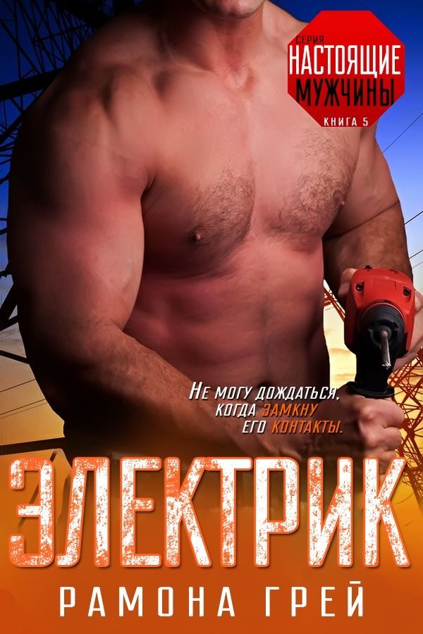 Обложка книги «Электрик»