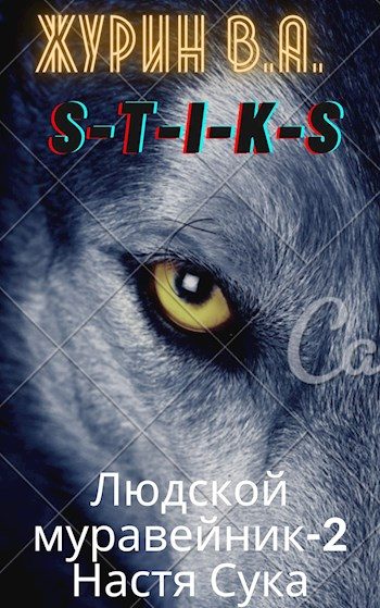 Обложка книги «Настя Сука»
