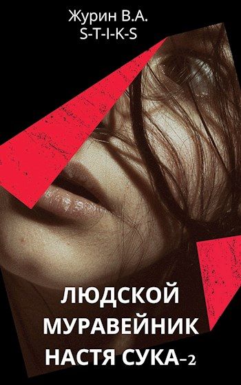Обложка книги «Настя Сука 2»