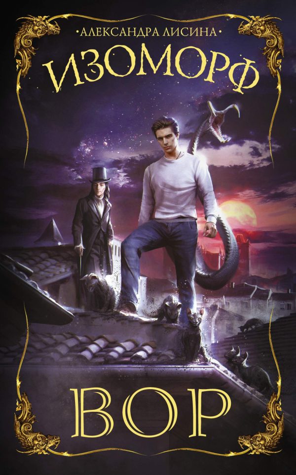 Обложка книги «Вор»