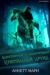 Обложка книги «Единственный и неповторимый Кристальный друид»