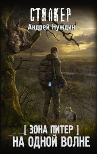 Обложка книги «На одной волне»
