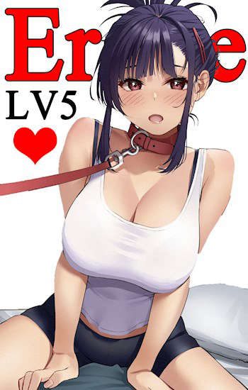 Обложка книги «Eroge LV5: Больше сисек богу сисек!»