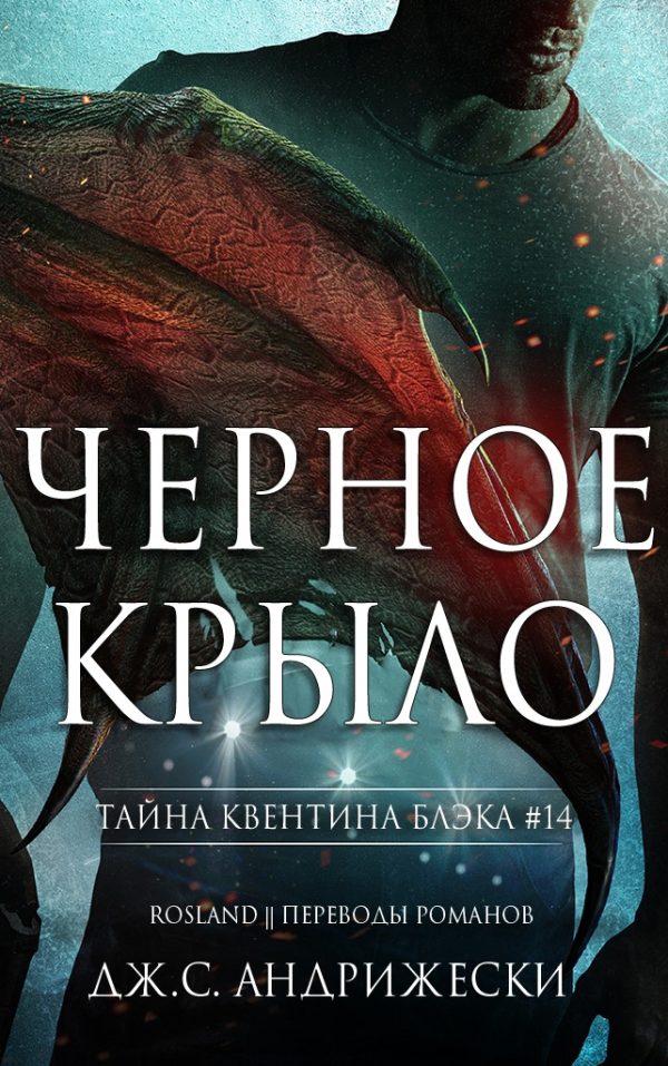 Обложка книги «Чёрное крыло»