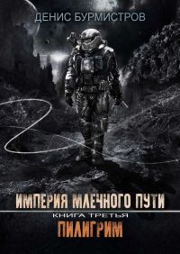 Обложка книги «Пилигрим»