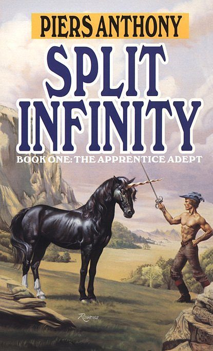 Обложка книги «Split Infinity»
