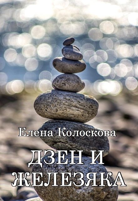 Обложка книги «Дзен и железяка»