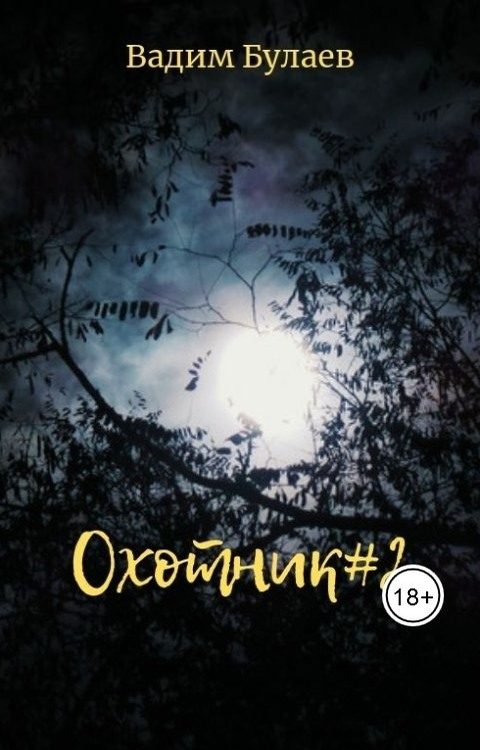 Обложка книги «Охотник 2»