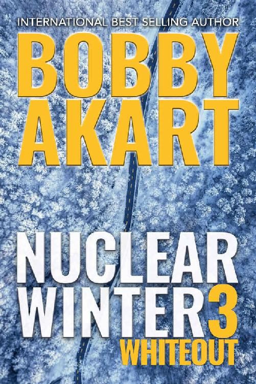 Обложка книги «Whiteout»