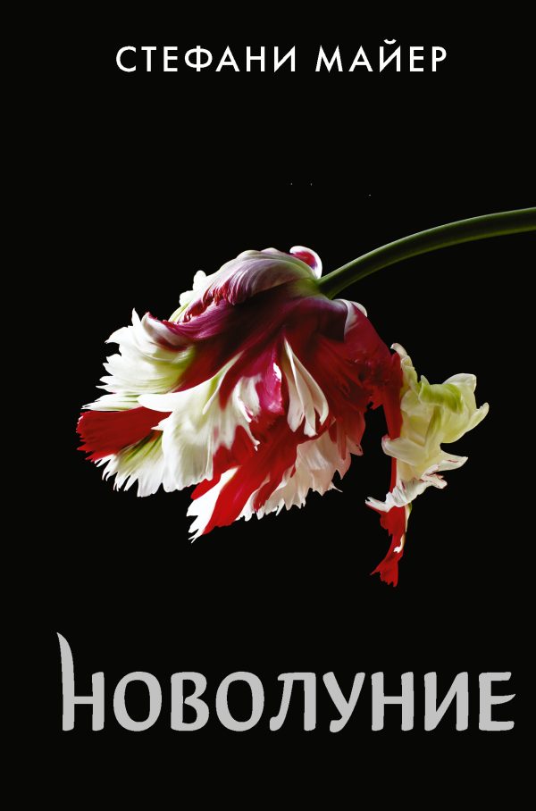 Обложка книги «Новолуние»