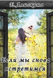 Обложка книги «Если мы снова встретимся»