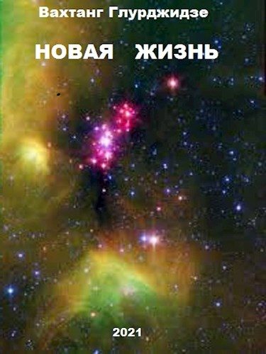 Обложка книги «Новая жизнь»