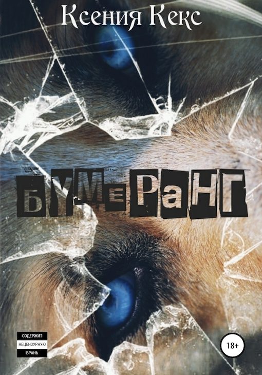 Обложка книги «Бумеранг»