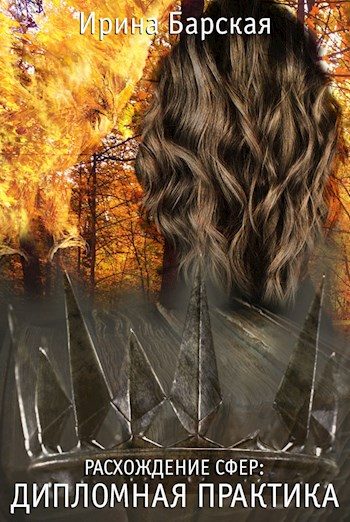 Обложка книги «Дипломная практика»
