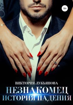 Обложка книги «Незнакомец. История падения»