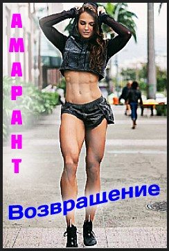 Обложка книги «Возвращение»
