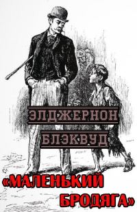 Обложка книги «Маленький бродяга»