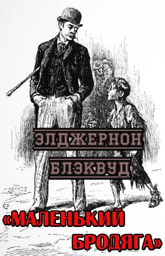Обложка книги «Маленький бродяга»