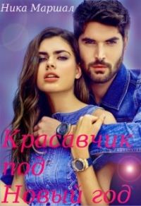 Обложка книги «Красавчик под Новый год»