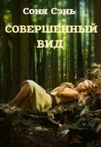 Обложка книги «Совершенный вид»