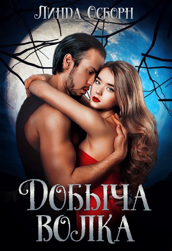Обложка книги «Добыча волка»