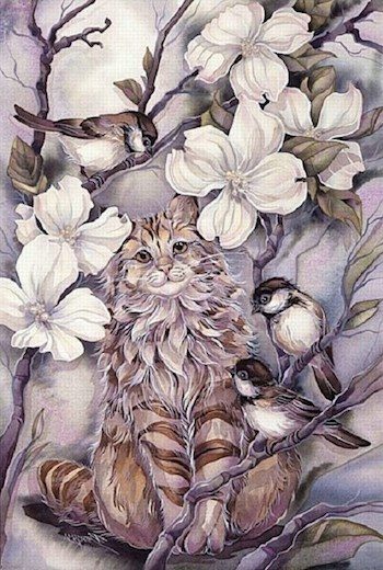 Обложка книги «Кошачьи истории»