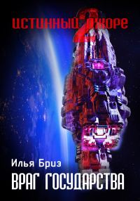 Обложка книги «Враг государства»