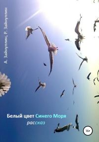 Обложка книги «Белый цвет синего моря»