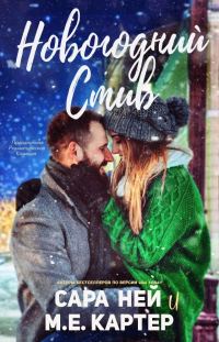 Обложка книги «Новогодний Стив»