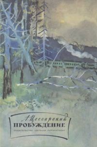 Обложка книги «Пробуждение»