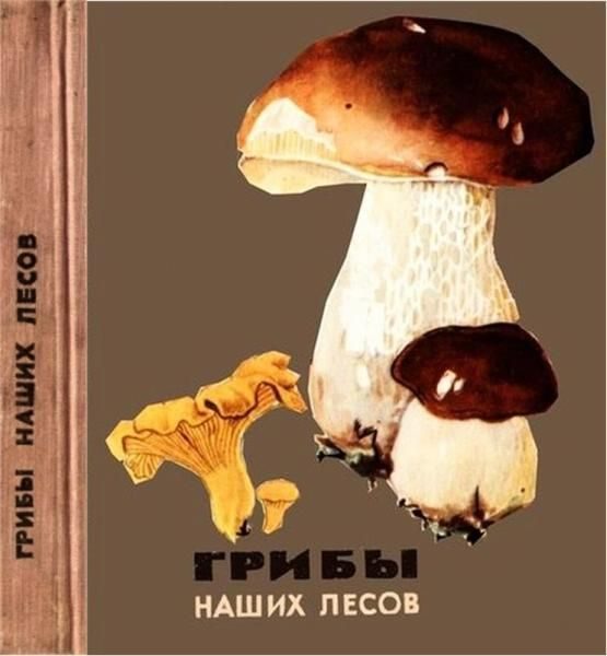 Обложка книги «Грибы наших лесов»