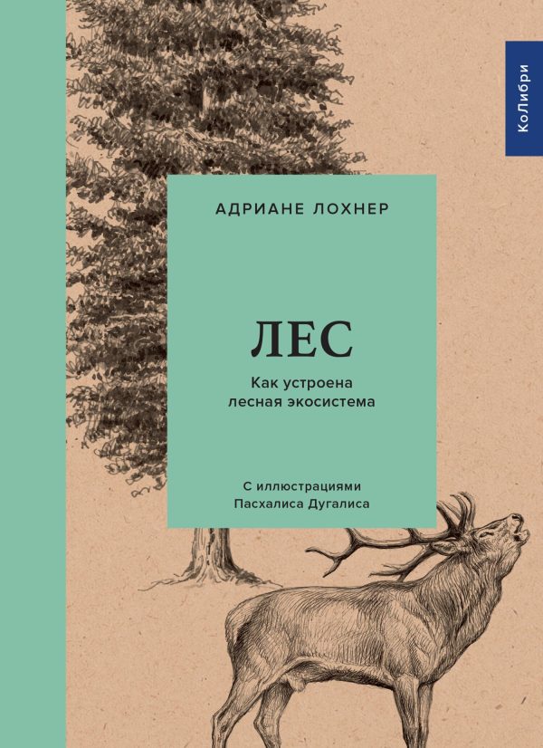 Обложка книги «Лес. Как устроена лесная экосистема»