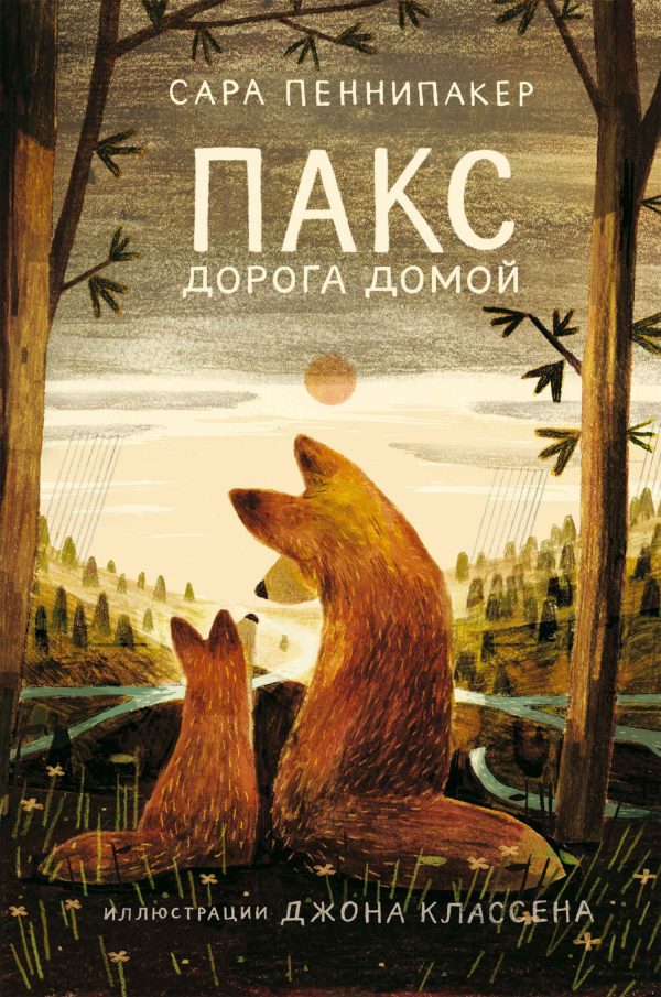 Обложка книги «Дорога домой»
