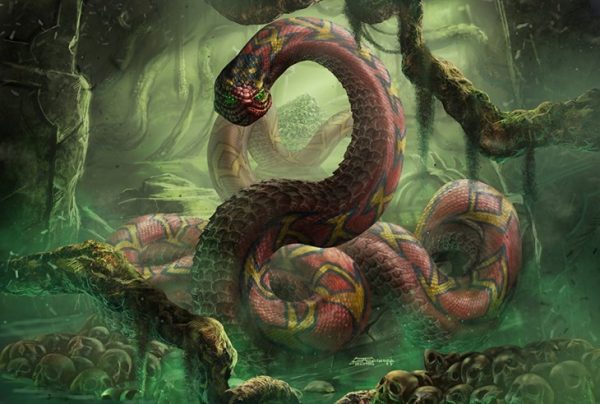 Обложка книги «Берег надежды»